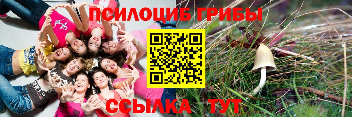 Новосибирск  Галлюциногенные грибы Cubensis  Вход с VPN 