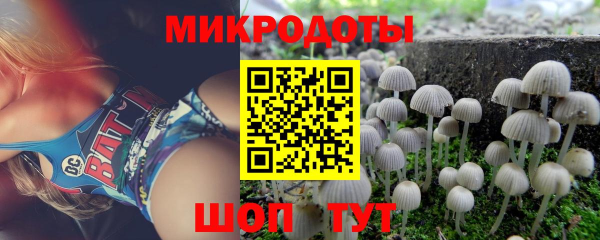 Псилоцибиновые грибы Psilocybine cubensis Новосибирск